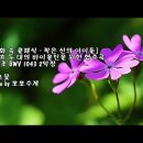 두대로-2 Daum카페