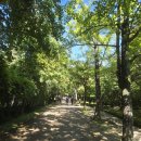 부석사 주차장 | 경북 영주 가볼만한곳 국보 부석사 가을 탐방하기 (주차장 꿀팁)