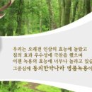 동의한약나라