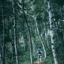 무룡분교 이미지