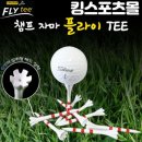 골프챔프 이미지