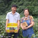 전통식품 | 장현식품 고령 국산 메주 전통 국산콩메주 된장담그기 후기 🫘