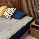 송현이길 | 씰리침대 송현점 Lao(라오) 프레임 설치 후기(3)
