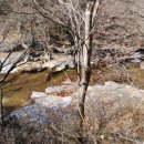 농월정야영장 이미지