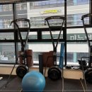 헐크복싱 이미지