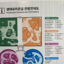 아이떼쥬