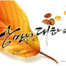 낭만에 대하여 - 사하구 하단동 | 낭만에 대하여