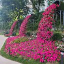 당현천근린공원 이미지