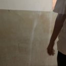 아이칸스 이미지