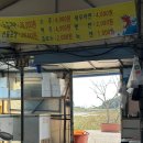 전남 보성 왕새우 구이 맛집 회령수산 후기