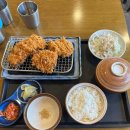 [마포 공덕 맛집] 잇몸으로도 먹을 수 있는 부드러운 안심카츠: 카츠오우
