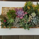 명원농장 이미지