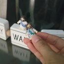 Bedazzling Jesus 이미지