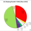 신장 카자흐의 Y-DNA 하플로 그룹 구성 (Shan 2014) 이미지