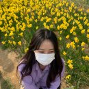미뤘던 직장인 자기개발, 외국어 공부 스토리 (Feat. 튜터링 쨔요)