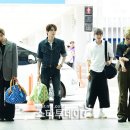 라이즈 이미지