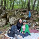 정기나무골 이미지