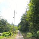 괴산염소농장 이미지