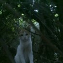 인헌동-3 이미지