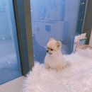 나리울 동물병원 이미지