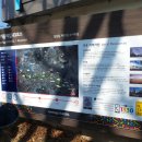 서운초교길 이미지