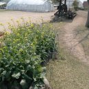 큰골농원 이미지