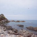 심곡항구 이미지