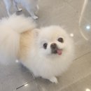 보미미용실 이미지