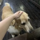 동남해농협 본점 이미지