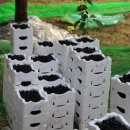 한울공판장 이미지