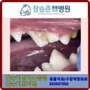장승준동물치과병원 이미지