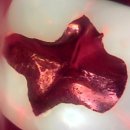 유어스치과의원 이미지