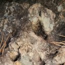 동해면보건지소 이미지