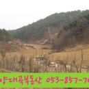 하양대곡공인중개사사무소 이미지