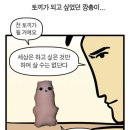 새집줄게헌집다오 이미지