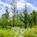 부천중앙공원 이미지