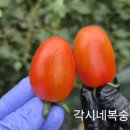 지유농장 이미지