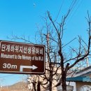 선산단계주차장 이미지