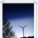 메리엘테마