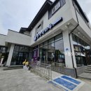 뚱냥한 하루 이미지