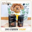 이로운 강아지 | 강아지 뒷다리절뚝 떨림증상에 포펙트 강아지영양제가 필요한 이유