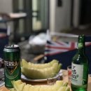 스테이소프트