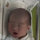 11545-11-38-23 | 둘째 출산 제왕절개 후기 회복 통증 기록 38주1일