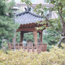 신월동105 이미지