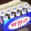 박카스 - 기장군 차성남로65번길 12 | 박카스