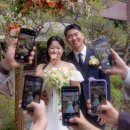 본식 줄맨드라미 드롭 들꽃 부케 촬영 고마리 내돈내산 가격
