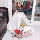 앙쥬르펫살롱 이미지