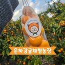 은하타운 | [제주] 은하감귤체험농장 제주 감귤따기체험 후기(feat.바이나흐튼 크리스마스박물관)
