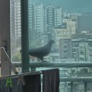 그린커피호프 - 양평군 | [260718~19]다시 일상으로 돌아가야지
