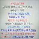 욕지도 (소액토지매매) 이미지